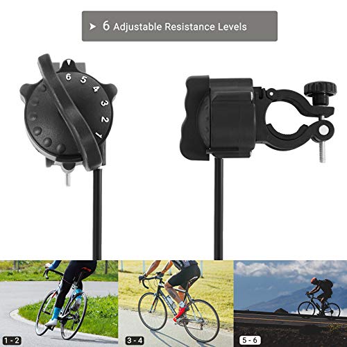 Stable Curvy Bike Trainer with Noise Reduction