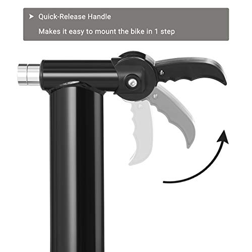 Stable Curvy Bike Trainer with Noise Reduction