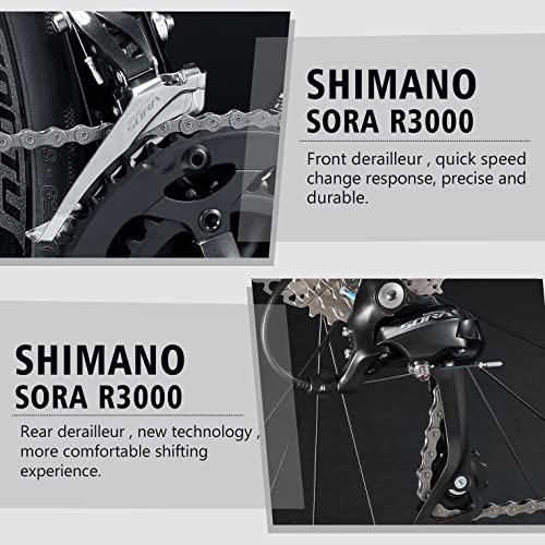 SAVA Carbon Fiber Road Bike with 18 Speed Groupset
