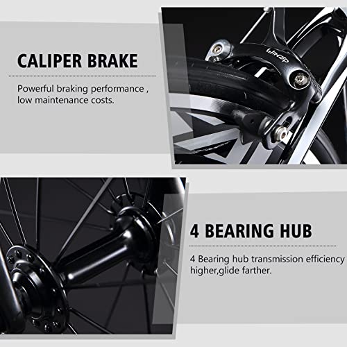 SAVA Carbon Fiber Road Bike with 18 Speed Groupset