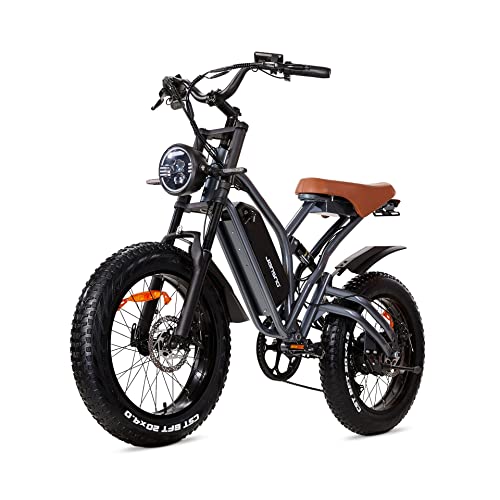 JANSNO 750W Electric Bike with Removable Battery