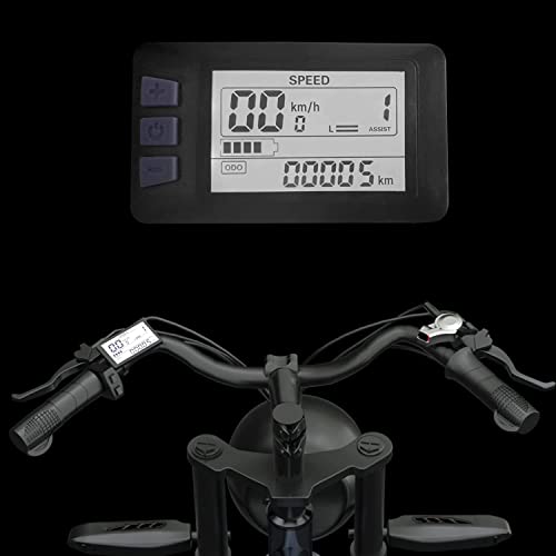 JANSNO 750W Electric Bike with Removable Battery