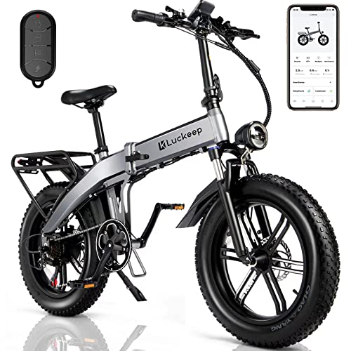 Folding Electric Fat Tire Bike with 750W Motor
