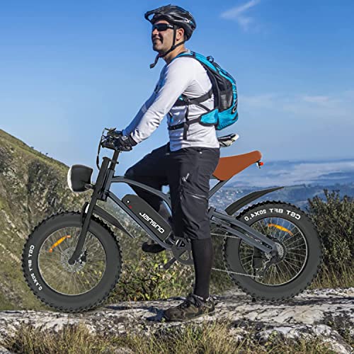 JANSNO 750W Electric Bike with Removable Battery