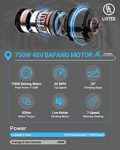 Folding Electric Fat Tire Bike with 750W Motor