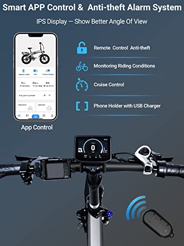 Folding Electric Fat Tire Bike with 750W Motor