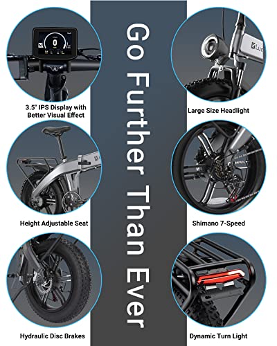 Folding Electric Fat Tire Bike with 750W Motor