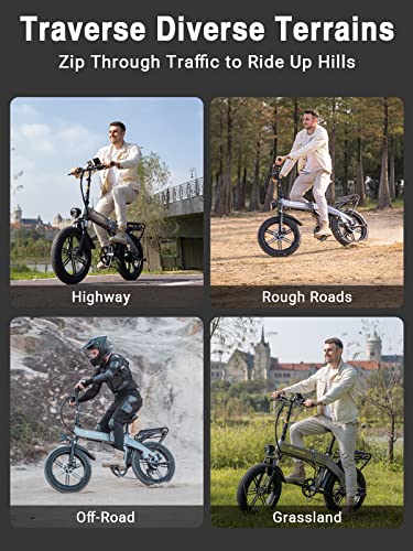 Folding Electric Fat Tire Bike with 750W Motor