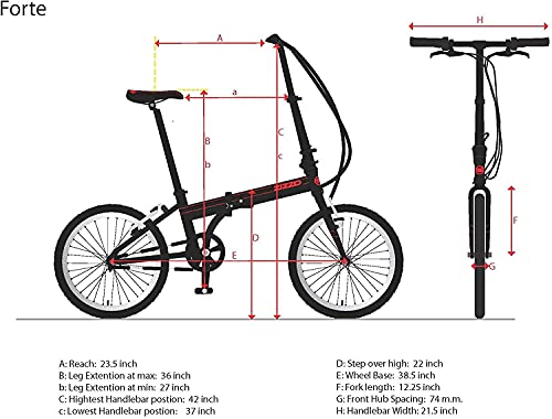 ZiZZO Forte 7-Speed Folding Bike with Fenders and Rack