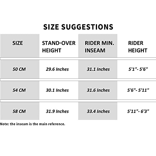 AVASTA Urban Commuter Fixie Bike, Gray 54