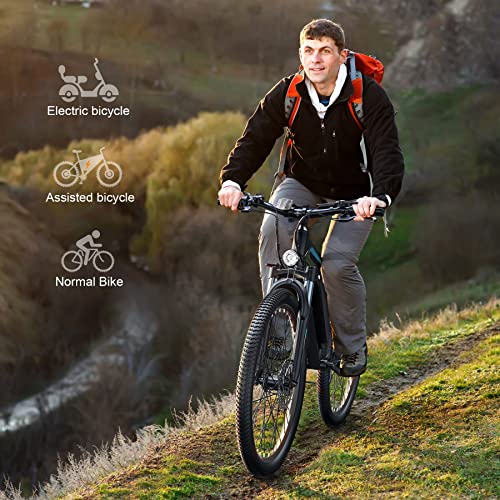 27.5" Wooken Electric Mountain Bike with 500W Motor