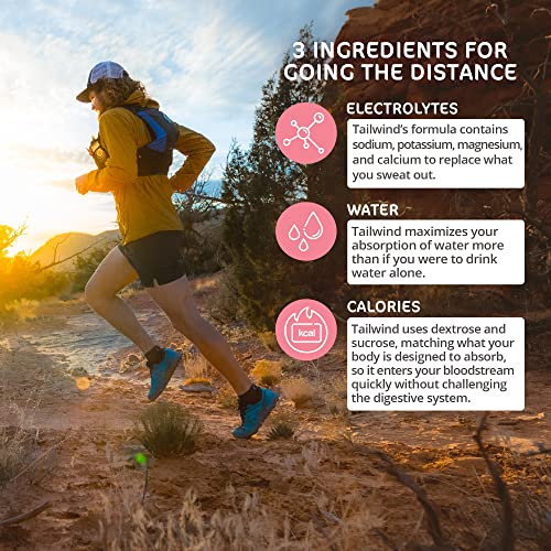 Tropical Buzz Endurance Fuel - 50 Servings