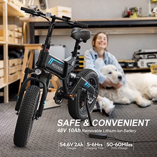 Fat Tire Electric Mountain Bike with Shimano 7-Speed