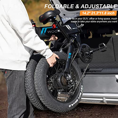 Fat Tire Electric Mountain Bike with Shimano 7-Speed