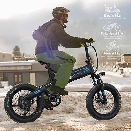 Fat Tire Electric Mountain Bike with Shimano 7-Speed