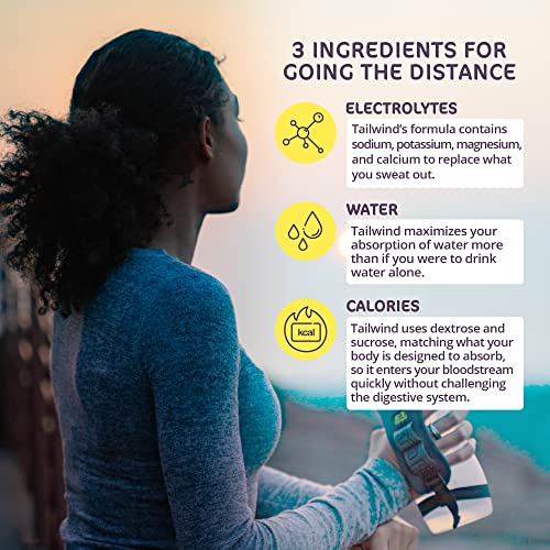 Lemon Endurance Drink Mix with Electrolytes, Calories