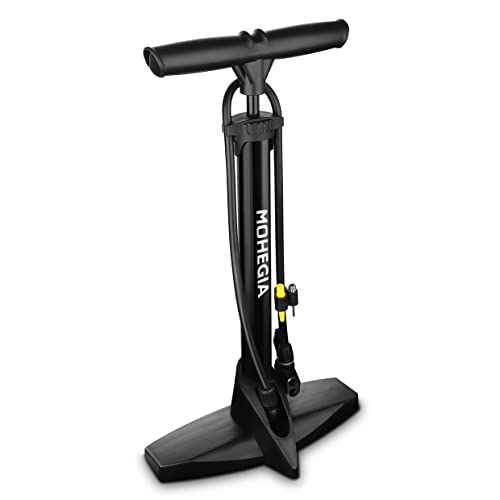 Bike Floor Pump with Dual Valve for Inflatables