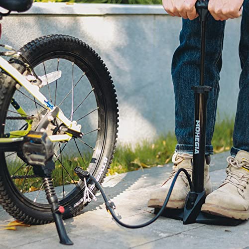 Bike Floor Pump with Dual Valve for Inflatables