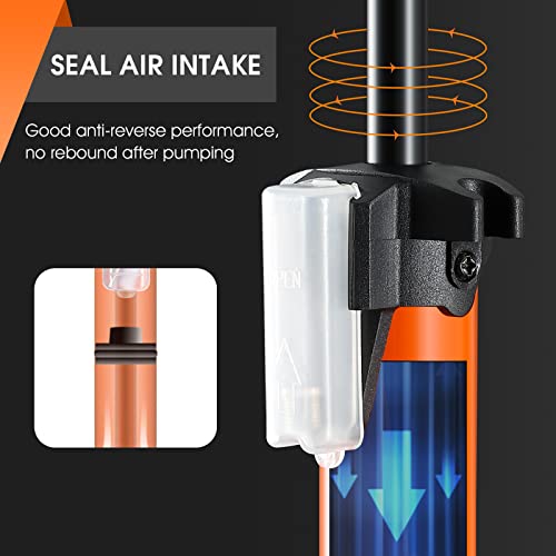 Portable Bike Air Pump with Dual Valve