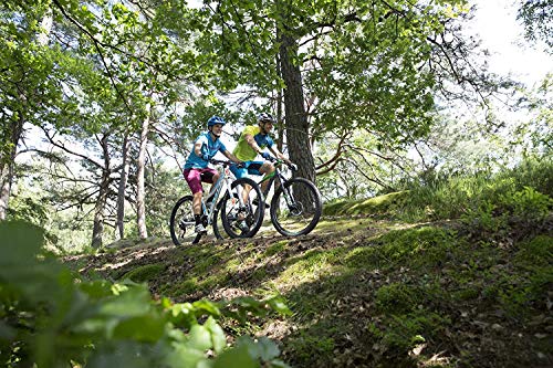 Wireless Cycling Computer with Altimeter