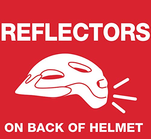 Blue & Dark Titanium BELL Bike Helmet