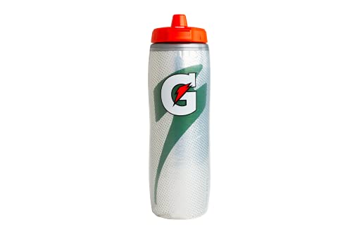 30oz Gatorade Insulated Squeeze Bottle - Silver