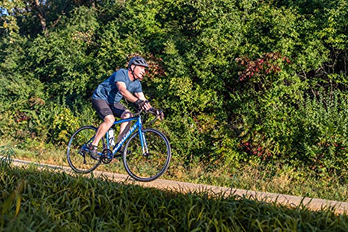 Schwinn Fastback AL Claris Road Bike 700c