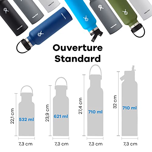 21 Oz Hydro Flask Insulated Water Bottle