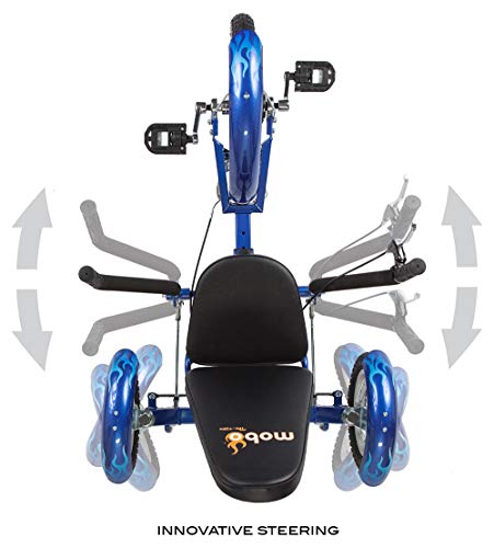 Youth Recumbent Trike with 3 Wheels