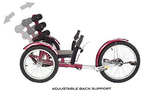 Red Mobo Reversible Adult 3-Wheel Bike