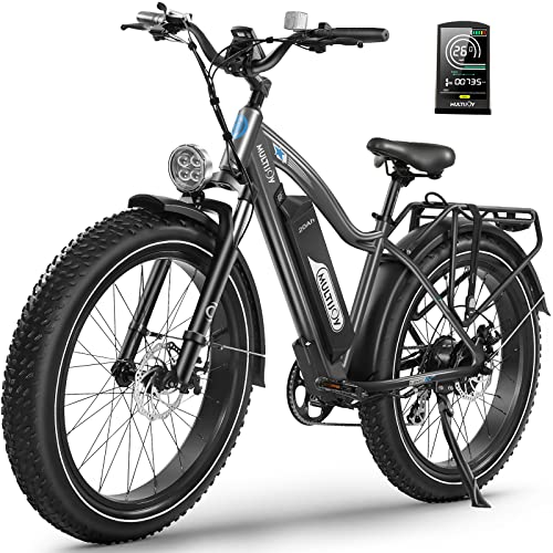 48V 20Ah Electric Mountain Bike, 750W Motor