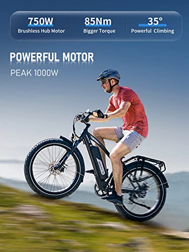 48V 20Ah Electric Mountain Bike, 750W Motor