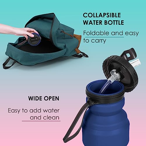 Collapsible Leak-Proof Silicone Water Bottle - 11oz