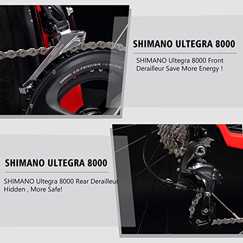 SAVA Carbon Fiber Road Bike with Ultegra Groupset