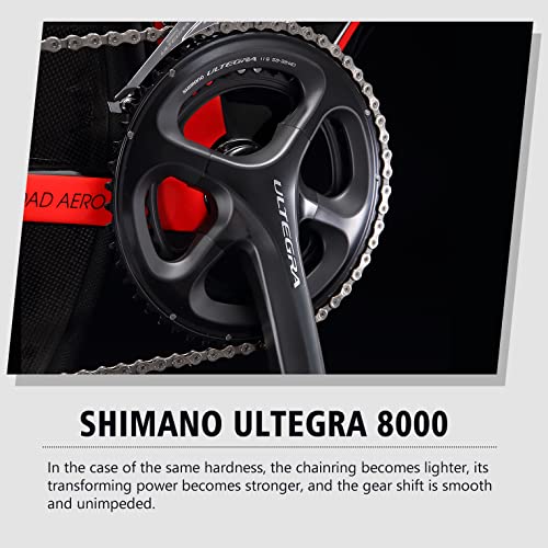 SAVA Carbon Fiber Road Bike with Ultegra Groupset