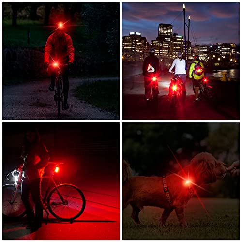 USB Rechargeable Bike Tail Light with 4 Modes