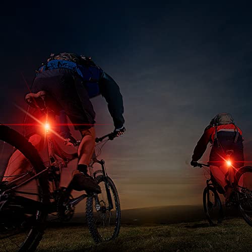 USB Rechargeable Bike Tail Light with 4 Modes