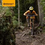 Continental MTB 29x1.75-2.5" / 47-622 -> 62-622 Inner Tubes - 42mm Presta Valve (Pack of 2 Tubes)