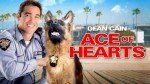 Ace of Hearts Movie Rental