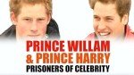 Prince William and Harry: Celebrity Captives