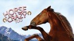 Horse Crazy Too: A Movie Rental Adventure