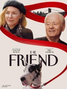 Rent The Friend Movie Online Today!