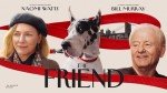 Rent The Friend Movie Online Today!