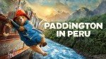 Paddington’s Adventure in Peru
