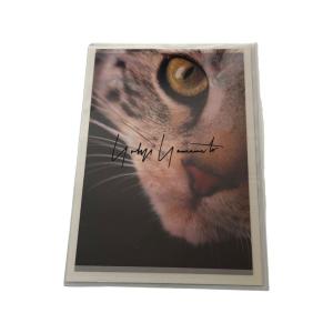 Yohji Yamamoto Vintage Look Book & Holograph Art