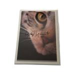 Yohji Yamamoto Vintage Look Book & Holograph Art