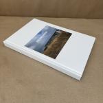 Richard Prince: Second House at Gladstone Gallery