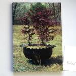 Signed Richard Prince Free Concert Book with Extras