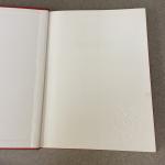 King Richard III Book Collection: Princes in Tower