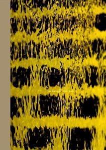 LUIS BARRAGAN (ARCHITECTURE GENERALE) By Rene Burri - Hardcover